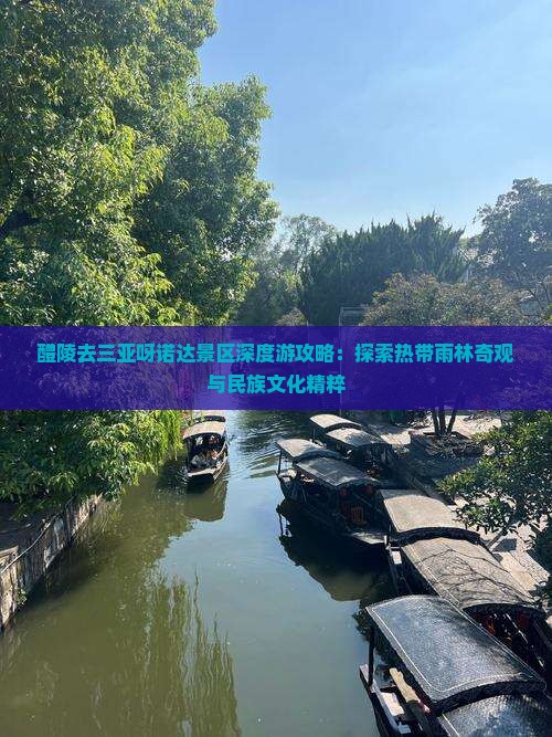 醴陵去三亚呀诺达景区深度游攻略：探索热带雨林奇观与民族文化精粹
