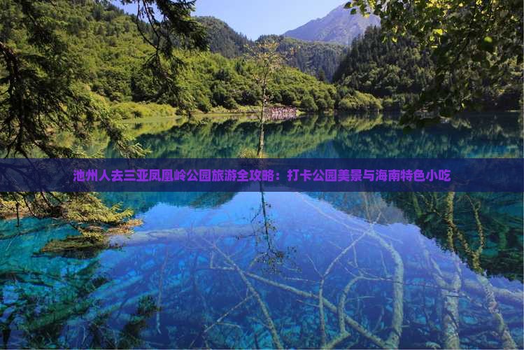 池州人去三亚凤凰岭公园旅游全攻略：打卡公园美景与海南特色小吃