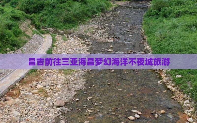 昌吉前往三亚海昌梦幻海洋不夜城旅游