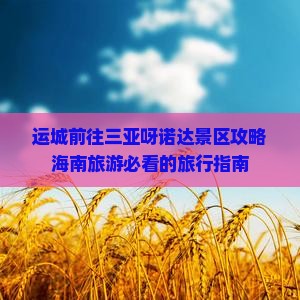 运城前往三亚呀诺达景区攻略海南旅游必看的旅行指南