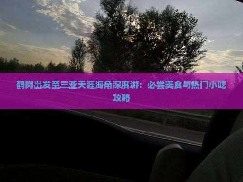 鹤岗出发至三亚天涯海角深度游：必尝美食与热门小吃攻略