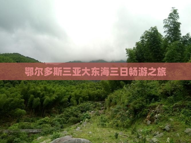 鄂尔多斯三亚大东海三日畅游之旅