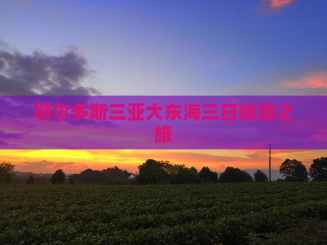 鄂尔多斯三亚大东海三日畅游之旅