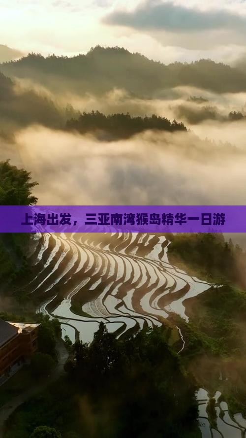 上海出发，三亚南湾猴岛精华一日游