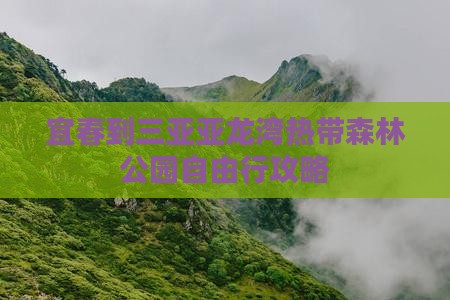 宜春到三亚亚龙湾热带森林公园自由行攻略