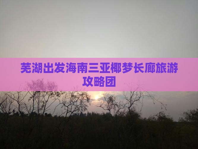 芜湖出发海南三亚椰梦长廊旅游攻略团
