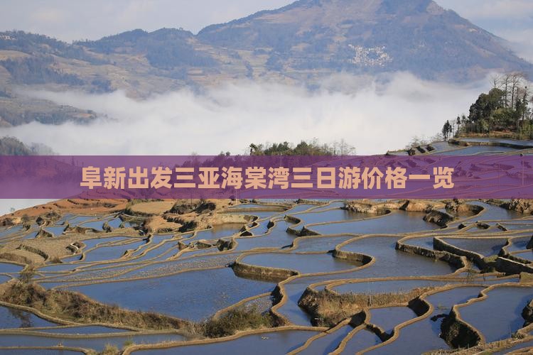 阜新出发三亚海棠湾三日游价格一览