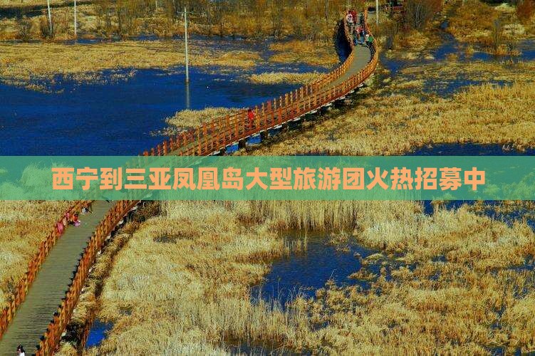 西宁到三亚凤凰岛大型旅游团火热招募中