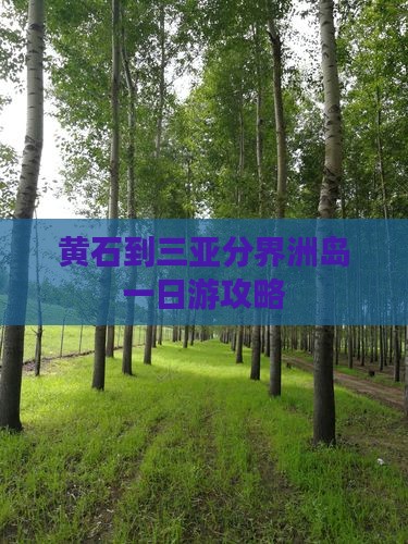 黄石到三亚分界洲岛一日游攻略