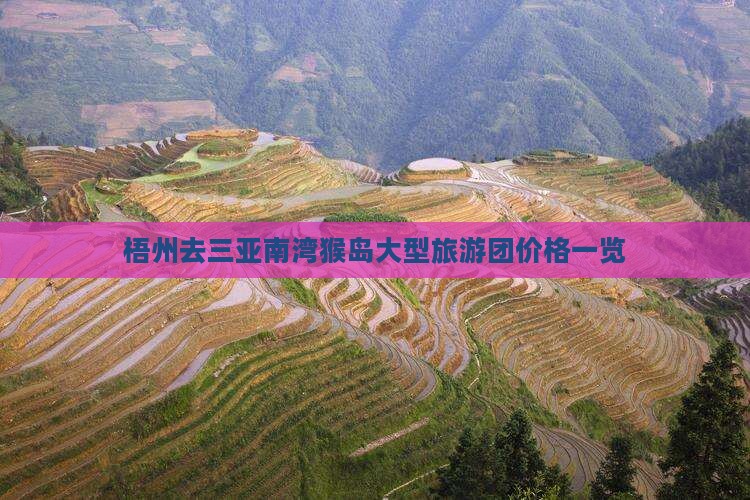 梧州去三亚南湾猴岛大型旅游团价格一览