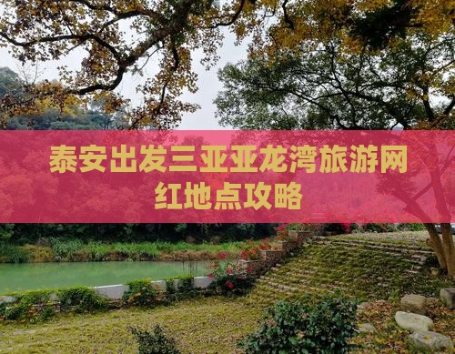 泰安出发三亚亚龙湾旅游网红地点攻略