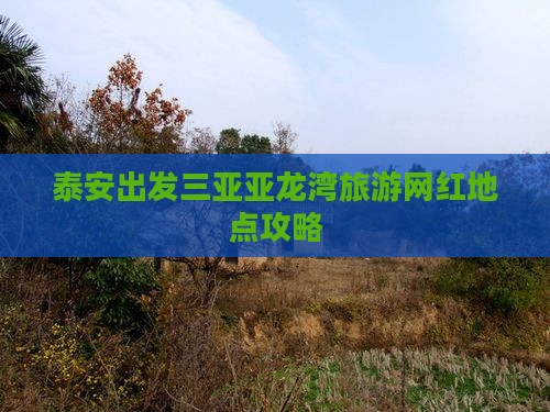 泰安出发三亚亚龙湾旅游网红地点攻略