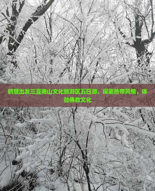 鹤壁出发三亚南山文化旅游区五日游，探索热带风情，体验佛教文化