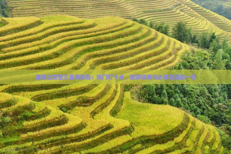 曲靖出发至三亚呆呆岛：热门打卡点、旅游攻略与必体验活动一览