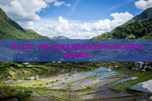 阳江出发：探秘三亚亚龙湾热带天堂森林公园门票价格与优惠政策