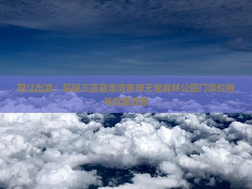 阳江出发：探秘三亚亚龙湾热带天堂森林公园门票价格与优惠政策