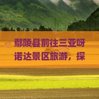 鄢陵县前往三亚呀诺达景区旅游，探寻热带雨林奇观与民族风情体验之旅
