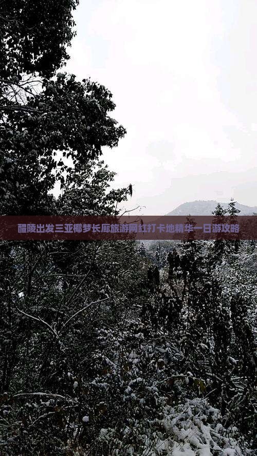 醴陵出发三亚椰梦长廊旅游网红打卡地精华一日游攻略