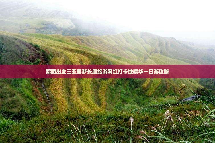 醴陵出发三亚椰梦长廊旅游网红打卡地精华一日游攻略