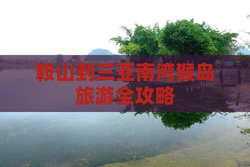 鞍山到三亚南湾猴岛旅游全攻略