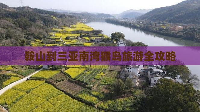 鞍山到三亚南湾猴岛旅游全攻略