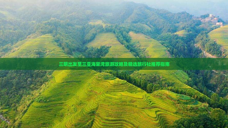 三明出发至三亚海棠湾旅游攻略及精选旅行社推荐指南
