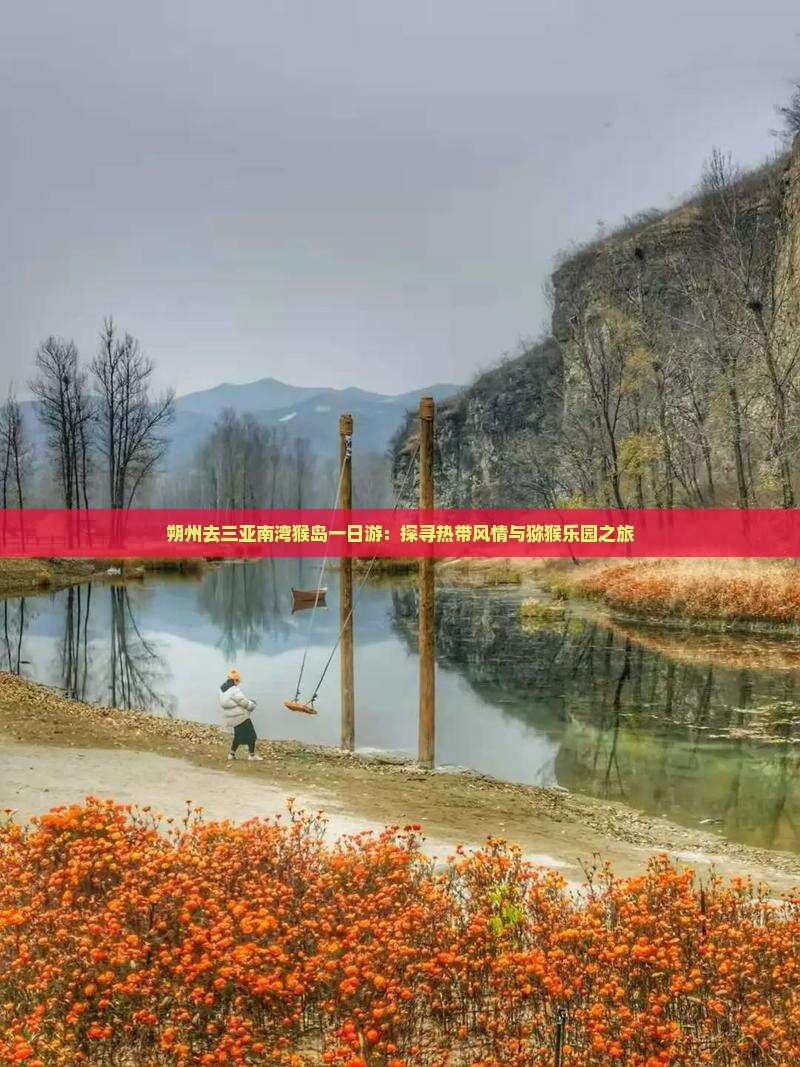 朔州去三亚南湾猴岛一日游：探寻热带风情与猕猴乐园之旅