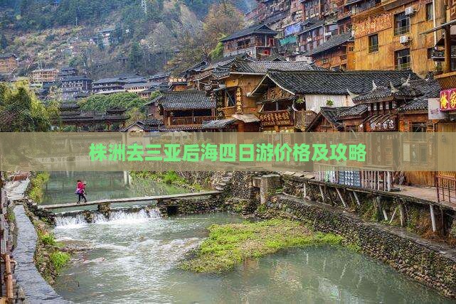株洲去三亚后海四日游价格及攻略