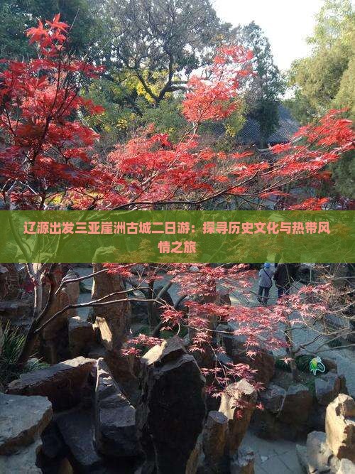 辽源出发三亚崖洲古城二日游：探寻历史文化与热带风情之旅