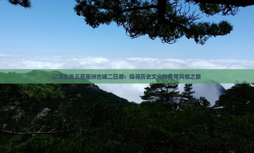 辽源出发三亚崖洲古城二日游：探寻历史文化与热带风情之旅