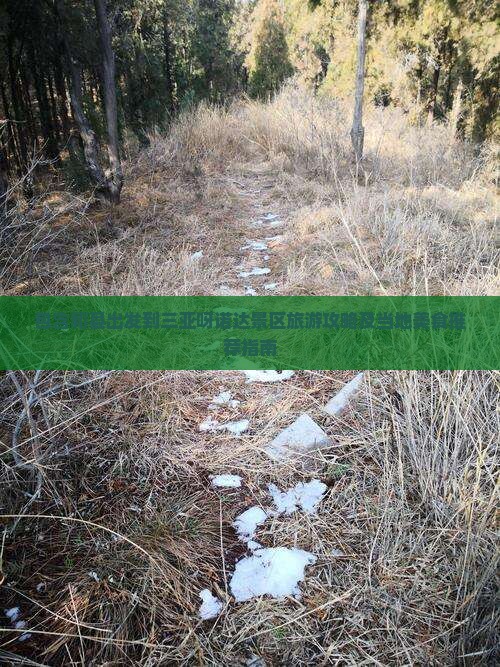 包含和县出发到三亚呀诺达景区旅游攻略及当地美食推荐指南