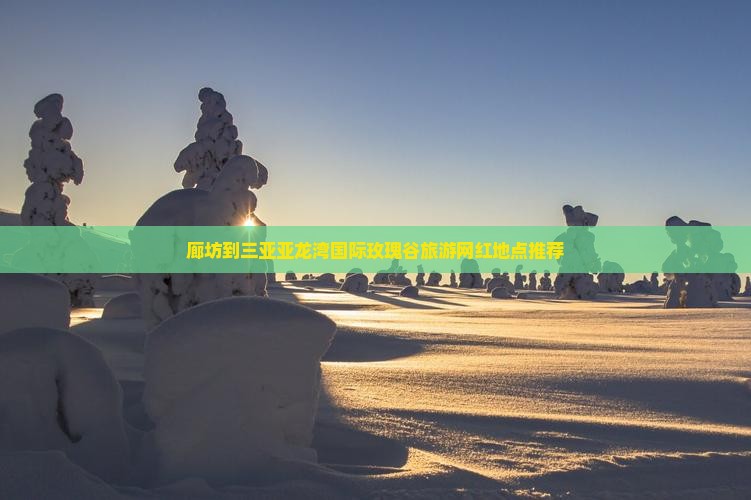 廊坊到三亚亚龙湾国际玫瑰谷旅游网红地点推荐