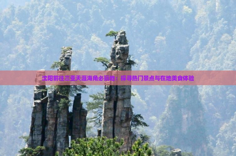 沈阳前往三亚天涯海角必玩地：探寻热门景点与在地美食体验