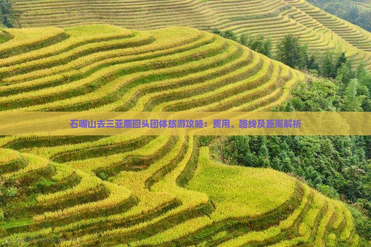 石嘴山去三亚鹿回头团体旅游攻略：费用、路线及距离解析