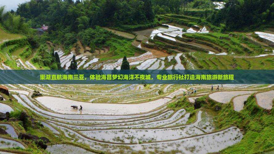 巢湖直航海南三亚，体验海昌梦幻海洋不夜城，专业旅行社打造海南旅游新旅程