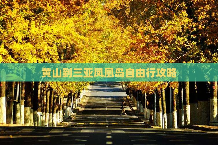 黄山到三亚凤凰岛自由行攻略