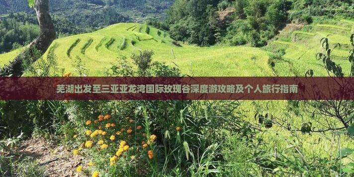 芜湖出发至三亚亚龙湾国际玫瑰谷深度游攻略及个人旅行指南