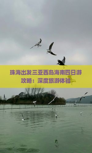 珠海出发三亚西岛海南四日游攻略：深度旅游体验