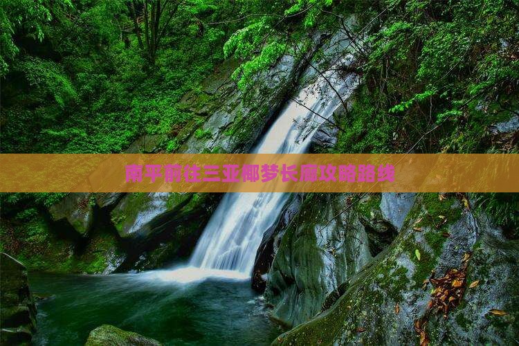 南平前往三亚椰梦长廊攻略路线