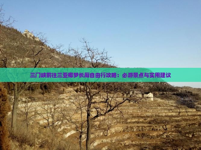 三门峡前往三亚椰梦长廊自由行攻略：必游景点与实用建议