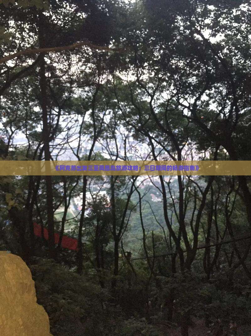 《阿克苏出发三亚凤凰岛旅游攻略：三日期间的畅游指南》