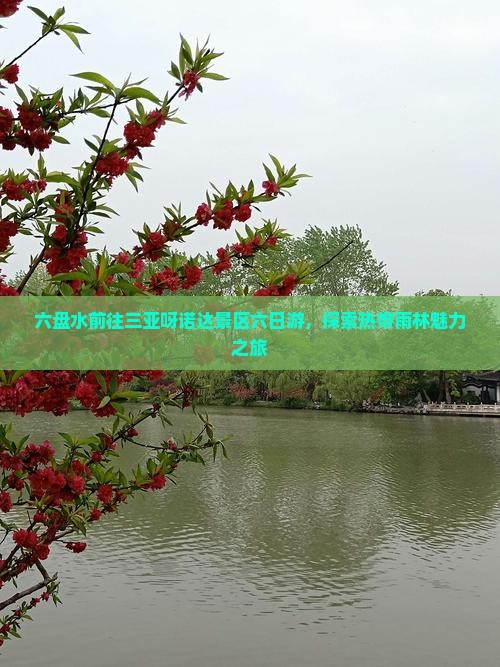 六盘水前往三亚呀诺达景区六日游，探索热带雨林魅力之旅
