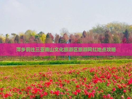 萍乡前往三亚南山文化旅游区旅游网红地点攻略