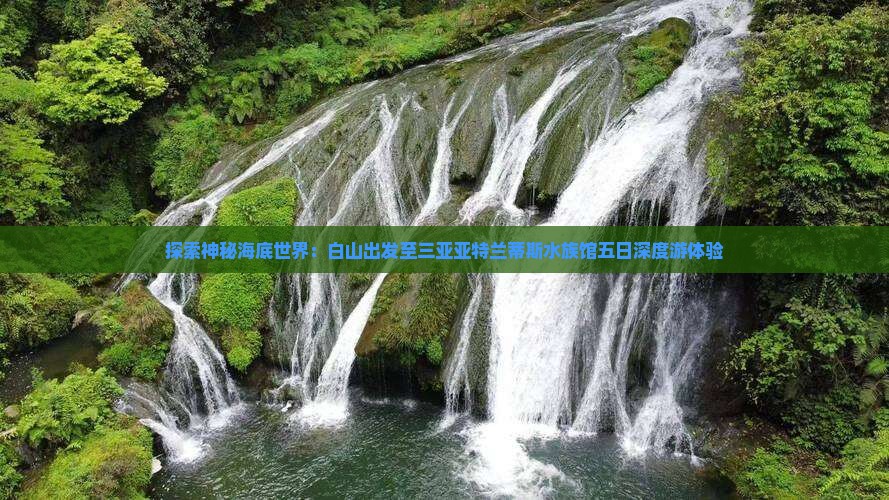 探索神秘海底世界：白山出发至三亚亚特兰蒂斯水族馆五日深度游体验