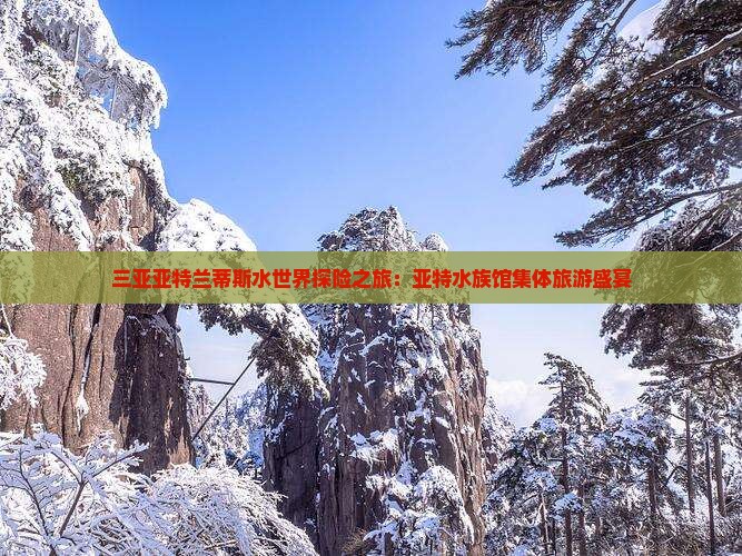 三亚亚特兰蒂斯水世界探险之旅：亚特水族馆集体旅游盛宴