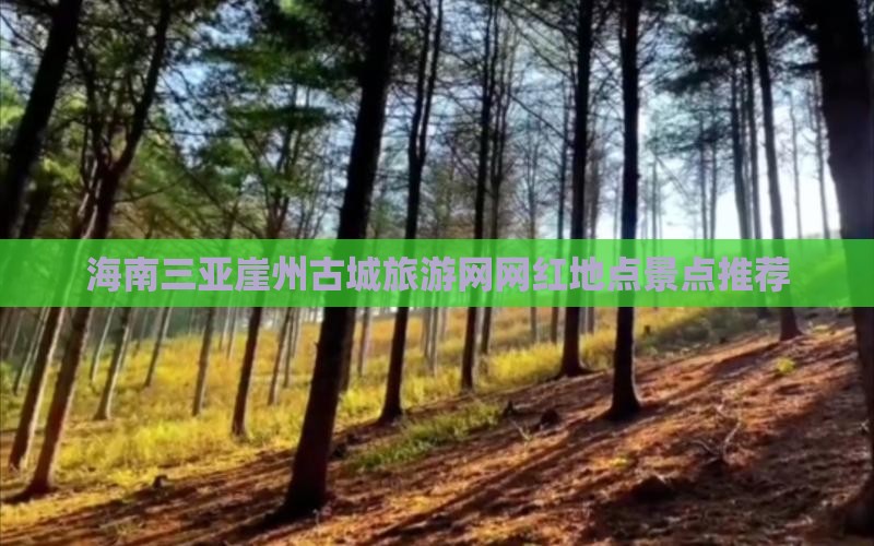 海南三亚崖州古城旅游网网红地点景点推荐