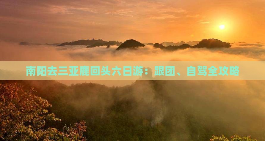 南阳去三亚鹿回头六日游：跟团、自驾全攻略