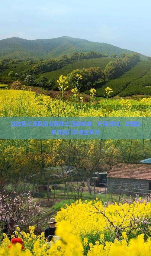 甘孜至三亚凤凰岛奢华三日游攻略：行程规划、交通指南与热门景点全解析