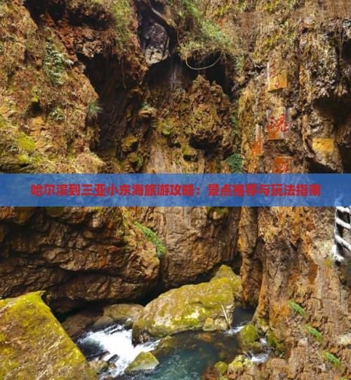 哈尔滨到三亚小东海旅游攻略：景点推荐与玩法指南