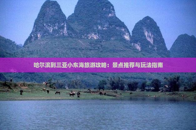 哈尔滨到三亚小东海旅游攻略：景点推荐与玩法指南
